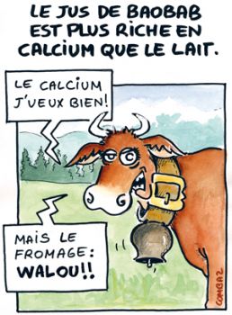 Vache et calcium.jpg