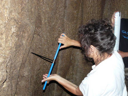 À Samba Dia, le baobab possède une large cavité qui permet d’échantillonner directement depuis l’intérieur de l’arbre.