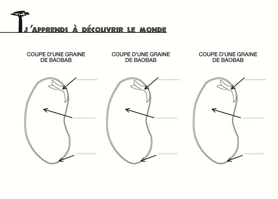 EDUCOBAOBAB CE1 fiche Page 4
