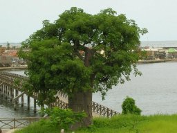 1174689_10201885902453091_817080763_n_10201885902453091