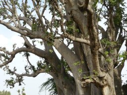 1175047_10201885906973204_1011727833_n_10201885906973204