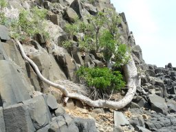 1186000_10201885909653271_887390324_n_10201885909653271