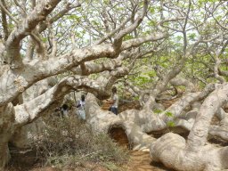 1186816_10201885903453116_172371257_n_10201885903453116