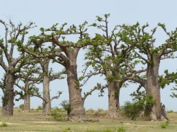 262385_10150259148794901_3599666_n