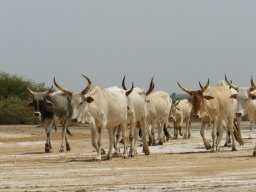 268846_10150259148824901_55492_n