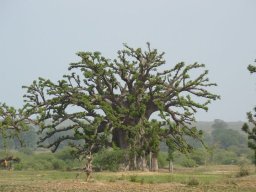 270463_10150259148544901_1821264_n