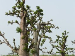 283970_10150259148384901_4792852_n