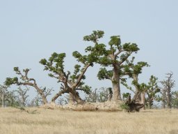 284442_10150259147729901_7224901_n