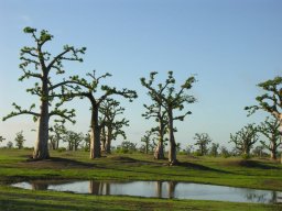 29589_10201885901653071_1036385501_n_10201885901653071