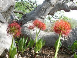 577862_10201885909533268_1903515941_n_10201885909533268