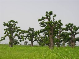 999145_10201885901973079_967283145_n_10201885901973079