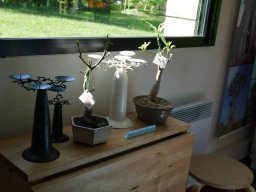 10491261_10152526131274901_6608826752671777205_n